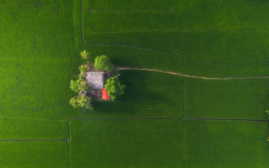Drone photography tips from India’s top photographers